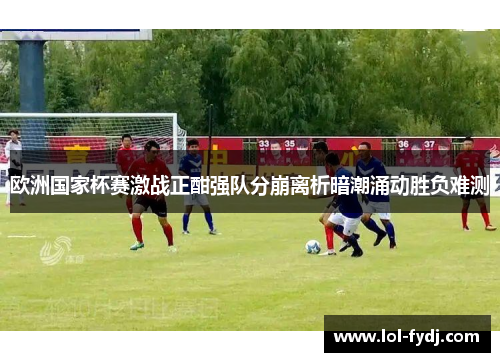 欧洲国家杯赛激战正酣强队分崩离析暗潮涌动胜负难测