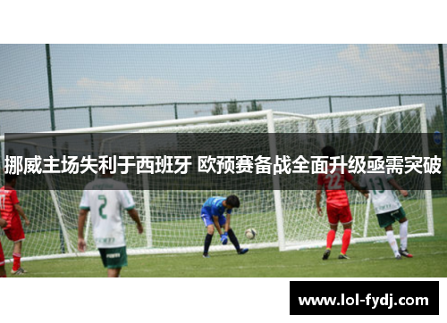 挪威主场失利于西班牙 欧预赛备战全面升级亟需突破