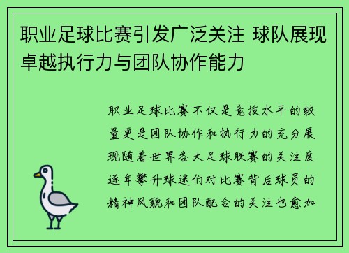 职业足球比赛引发广泛关注 球队展现卓越执行力与团队协作能力
