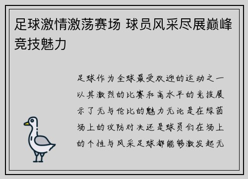 足球激情激荡赛场 球员风采尽展巅峰竞技魅力